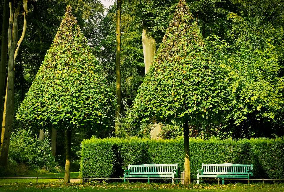 Benches in the park. jigsaw puzzle online