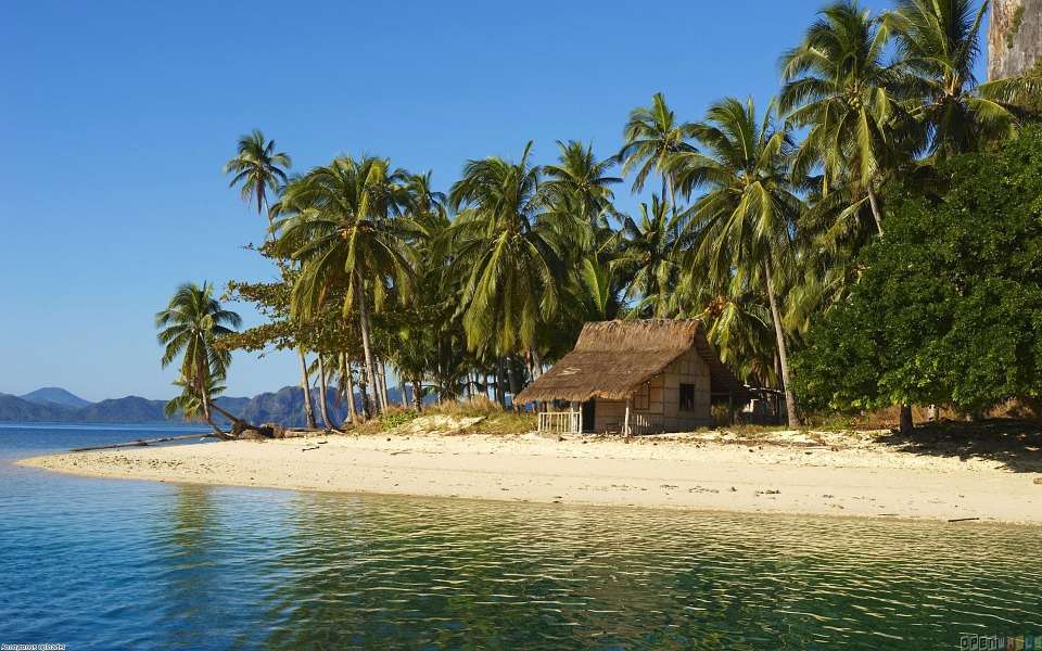 En koja på en tropisk ö. Pussel online