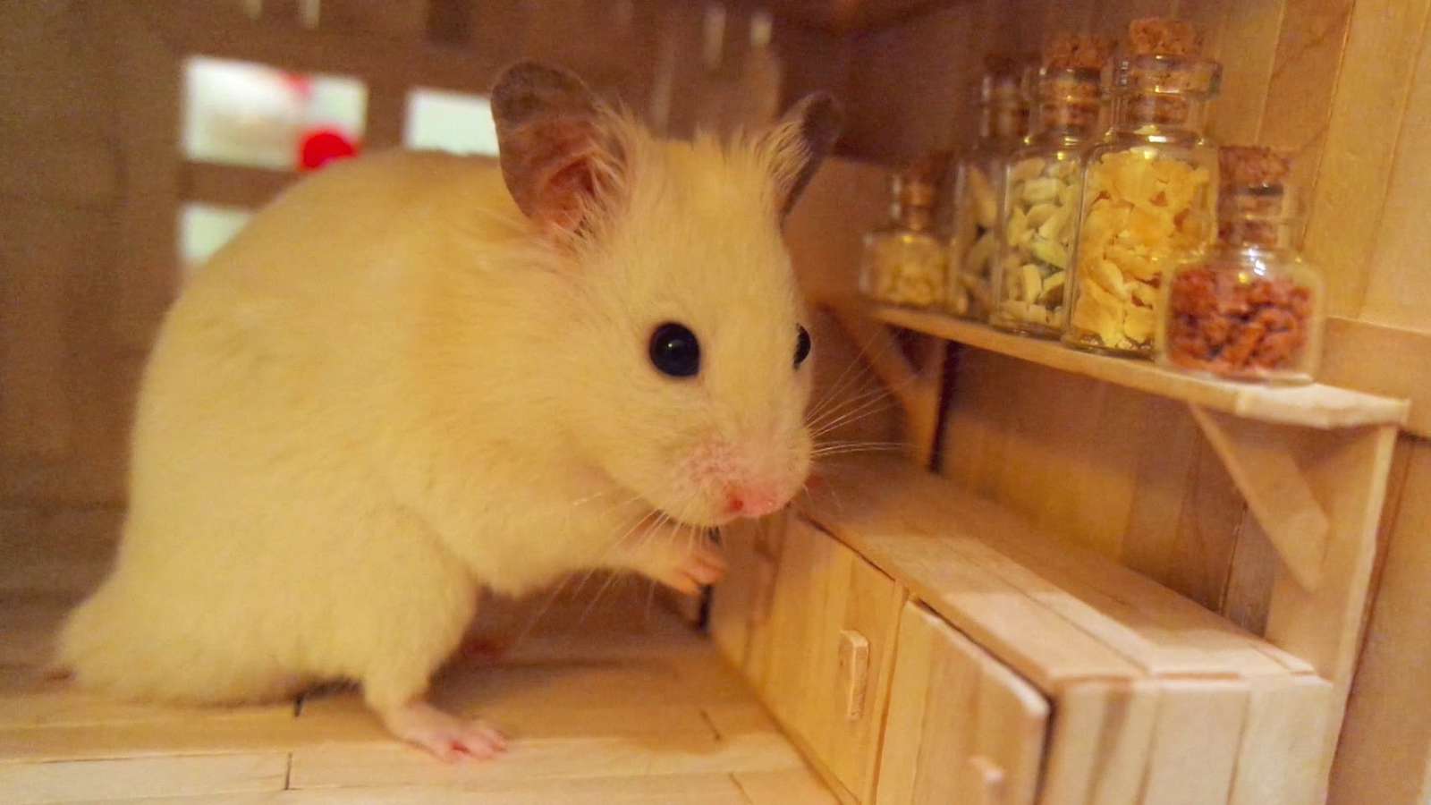hamster hamster Pussel online