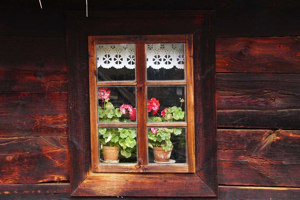 Geraniums in het raam. online puzzel