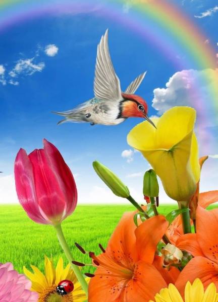 dvě barevné tulipány online puzzle