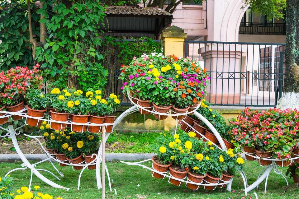 Canteiro de flores na frente da casa. quebra-cabeças online
