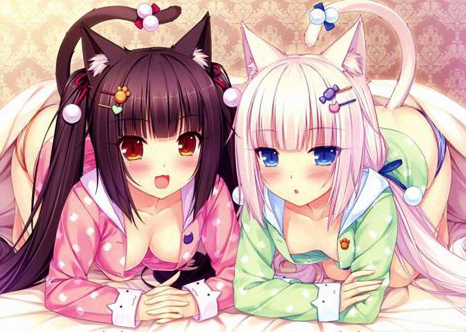 Anime Cats puzzle online