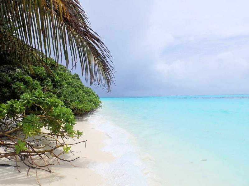 Maldivas. Playa. rompecabezas en línea