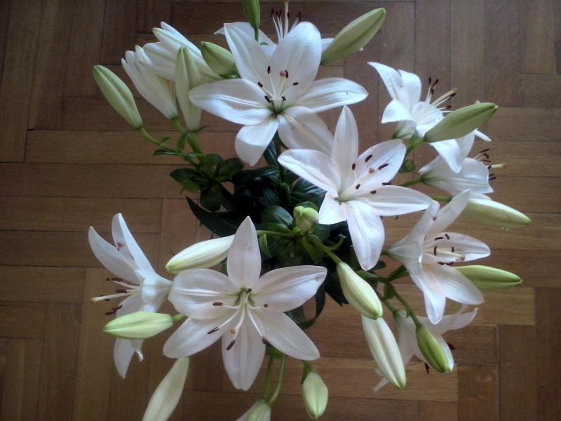 Vackra vita liljor pussel på nätet