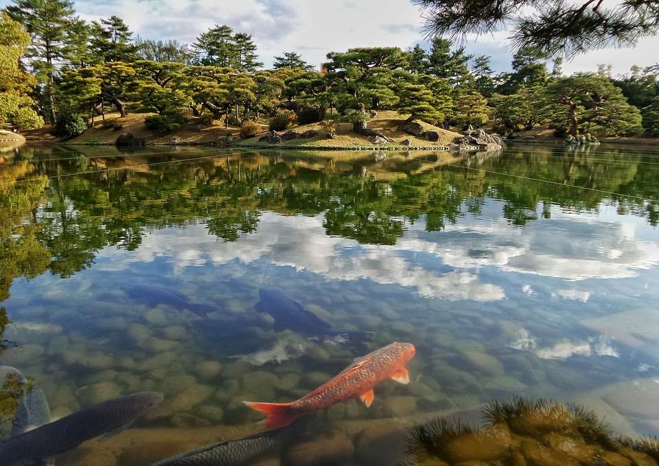 日本庭園。 ジグソーパズルオンライン