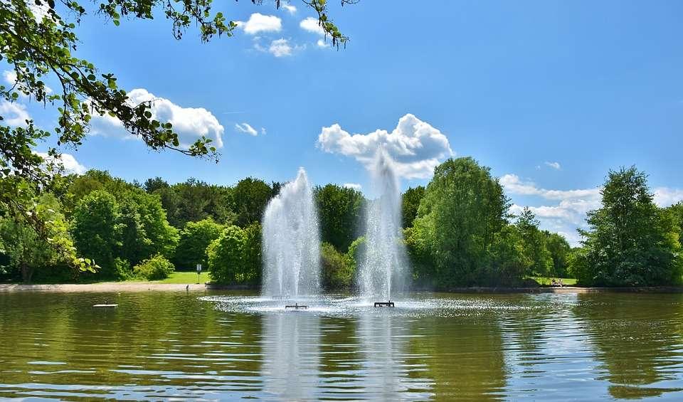 Fountains in the park. jigsaw puzzle online