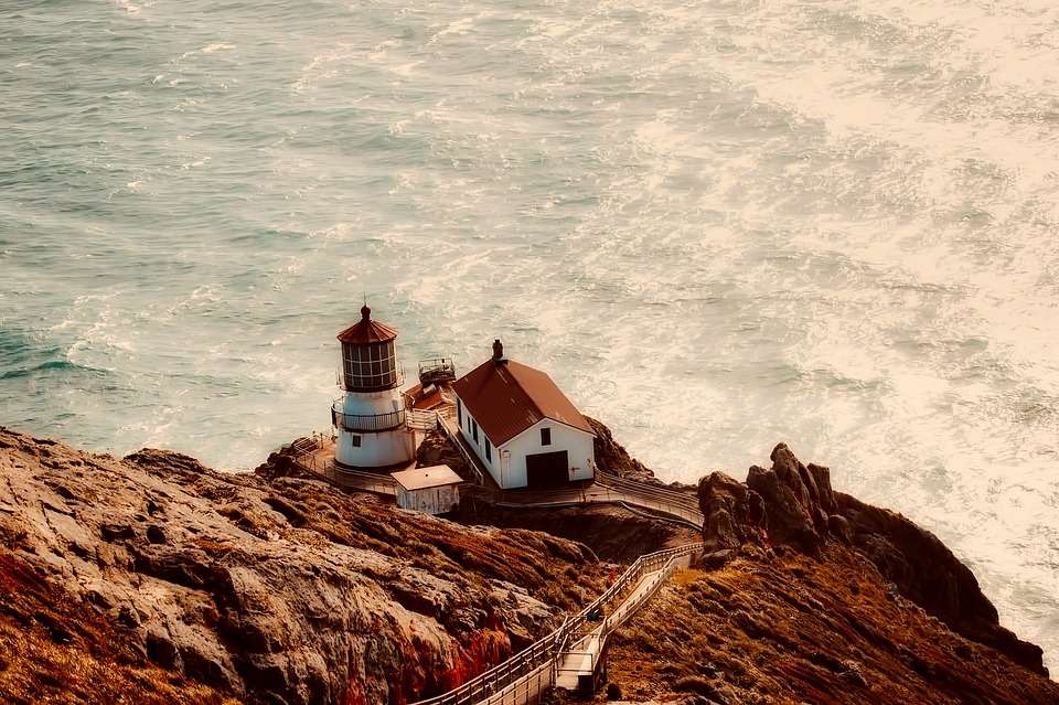Point Reyes. California. puzzle online
