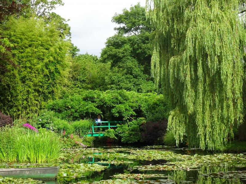 Pond in the park. jigsaw puzzle online