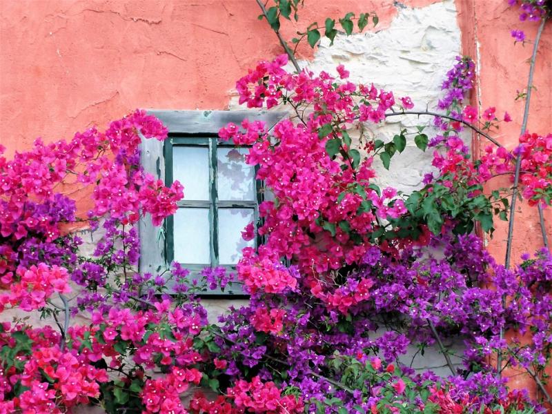 Η floral πρόσοψη του σπιτιού. online παζλ