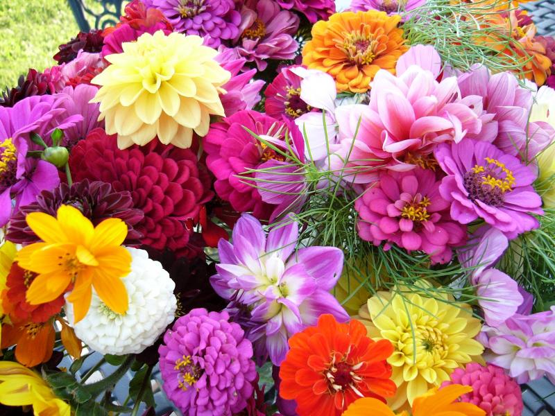 Πολύχρωμα λουλούδια. online παζλ