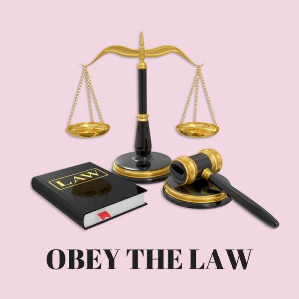 Obey the law jigsaw puzzle online