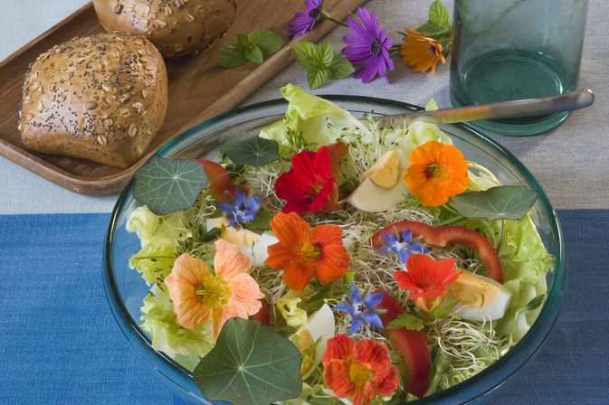 Salade avec capucine puzzle en ligne