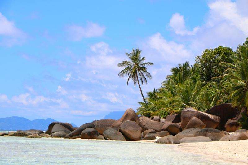 Praia nas Seychelles. quebra-cabeças online