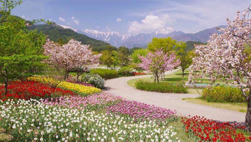 Πάρκο άνοιξη στις Άλπεις. online παζλ