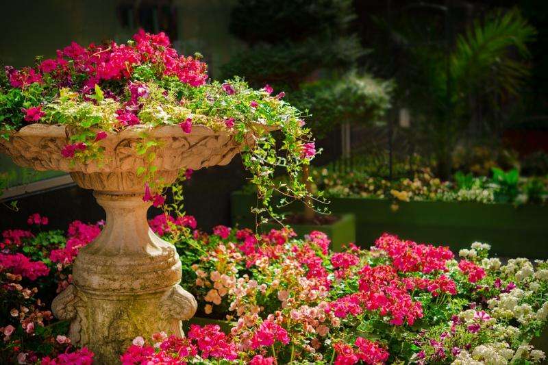 Fountain of flowers. online puzzle