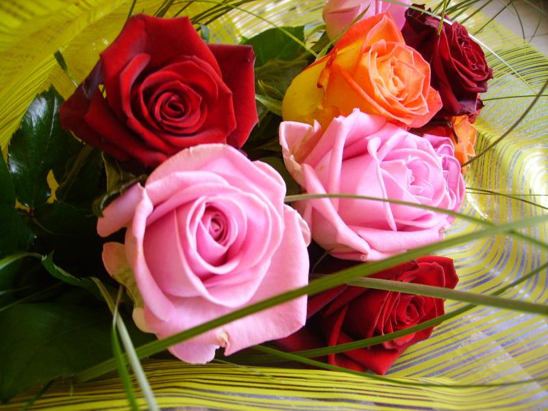 Trandafiri roz, roșii, ceai jigsaw puzzle online
