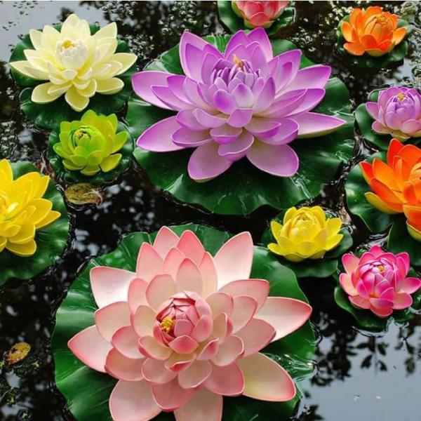 Water lilies jigsaw puzzle online