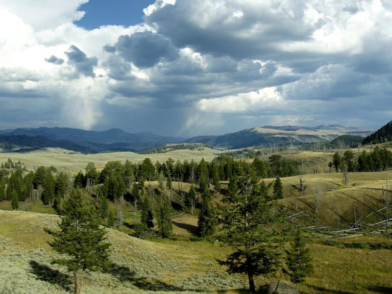 Yellowstone-Nationalpark. Puzzlespiel online