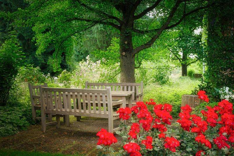 Цветя в градината. онлайн пъзел