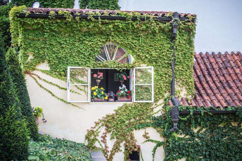 Grădină de ferestre. puzzle online