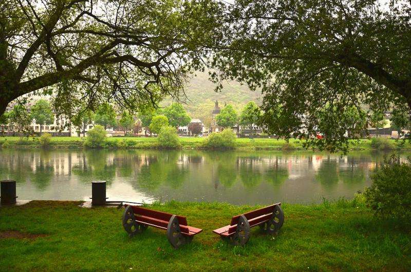Benches in a summer park. jigsaw puzzle online