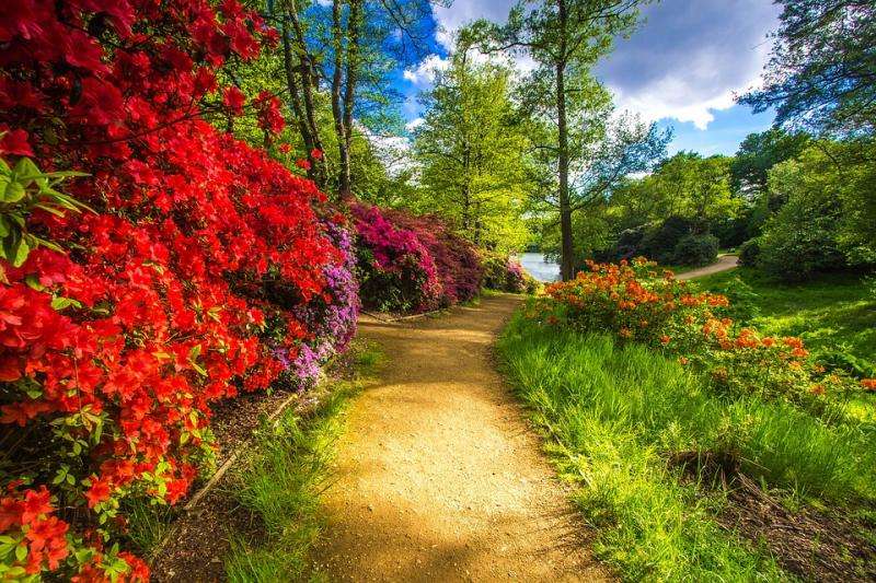 Красочный парк в Англии. онлайн-пазл