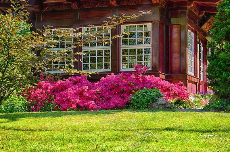 Pavilion in the garden. jigsaw puzzle online