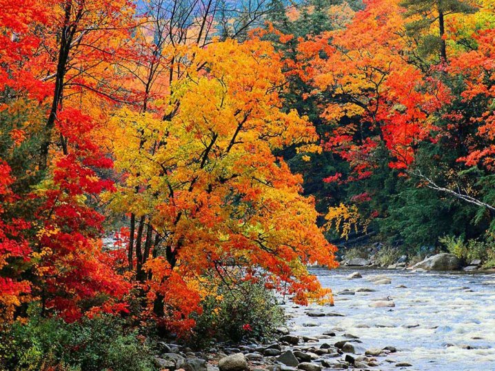 herfst landschap online puzzel