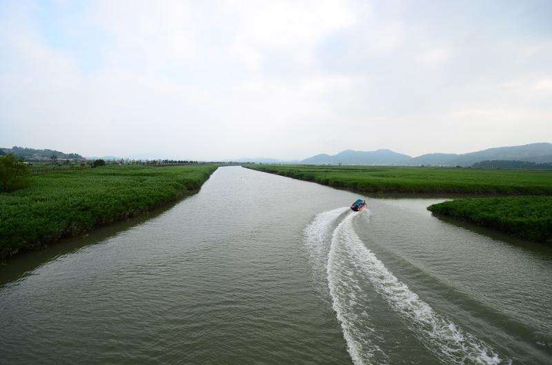 SUncheon Bay. Palude. puzzle online