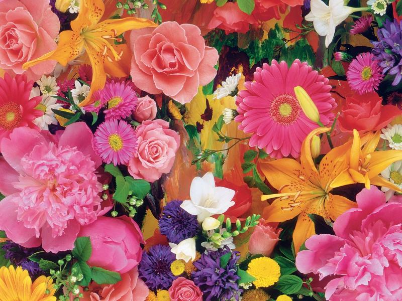 Color de las flores rompecabezas en línea