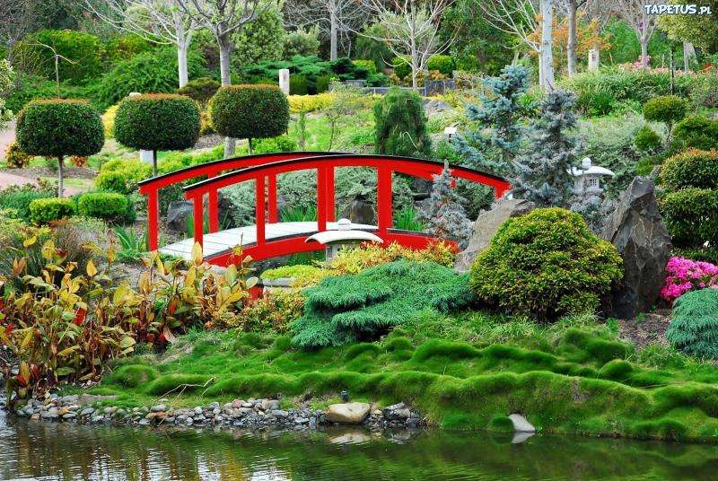Японска градина. онлайн пъзел