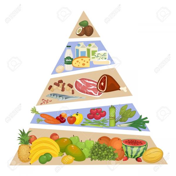 health pyramid online puzzle