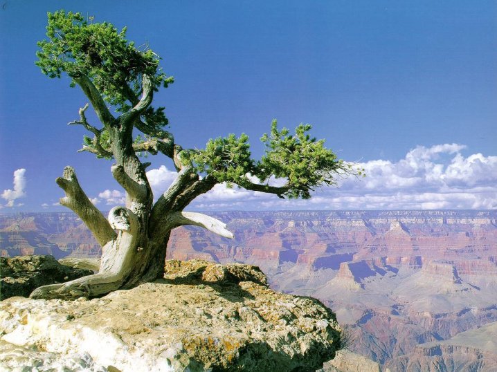 The Grand Canyon jigsaw puzzle online