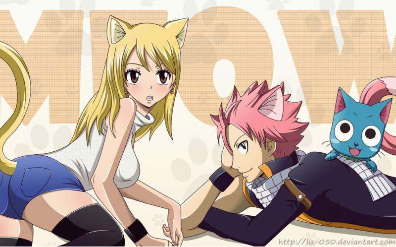 Fairy tail online puzzel