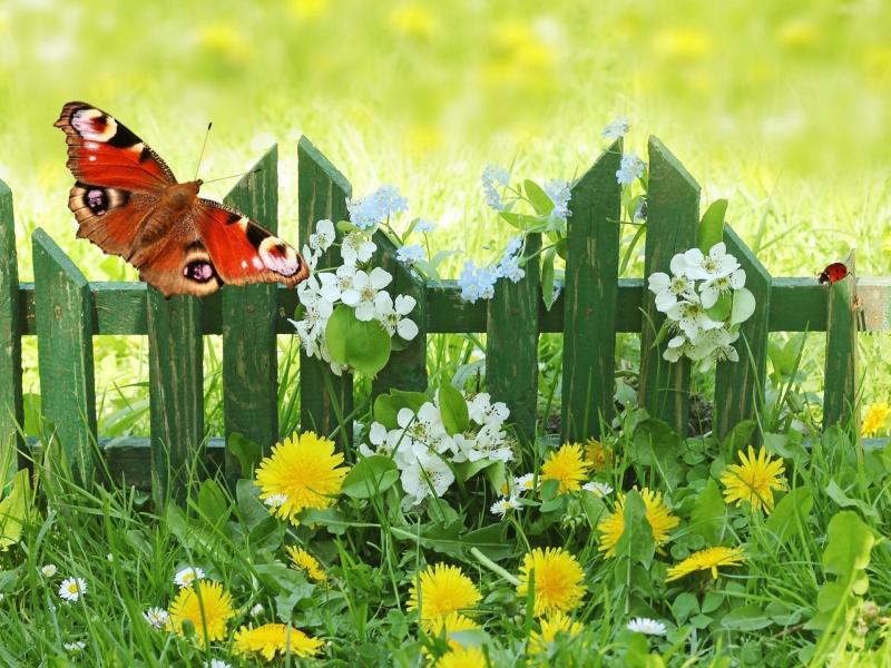 Пролетна градина. онлайн пъзел