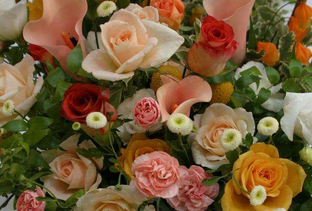 Virágok, tea rózsa online puzzle