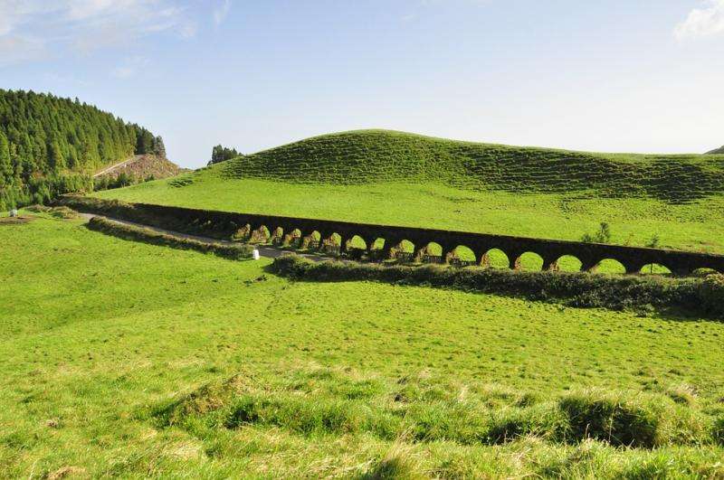 Pâturages verts aux Açores. puzzle en ligne