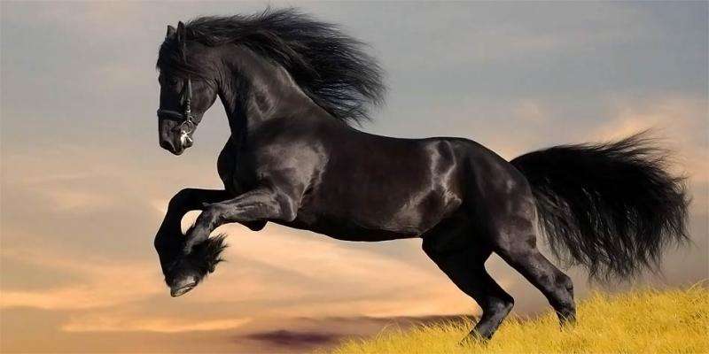 running of the horse jigsaw puzzle online