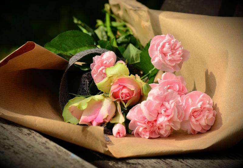 flores, rosa de te rompecabezas en línea