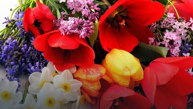 Ανοιξιάτικα λουλούδια online παζλ