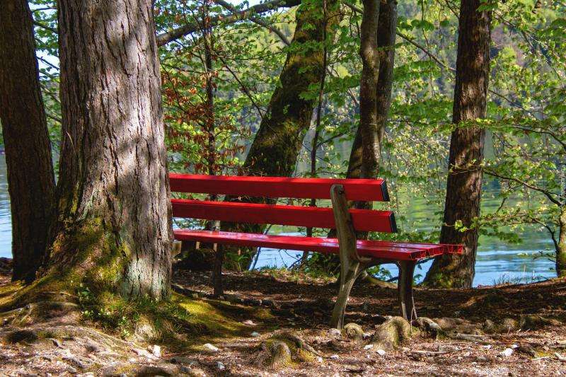 A red bench. jigsaw puzzle online