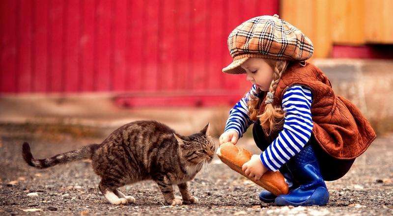 Маленька дівчинка з кошеням онлайн пазл