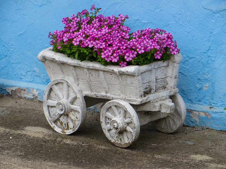 Flower bed. jigsaw puzzle online