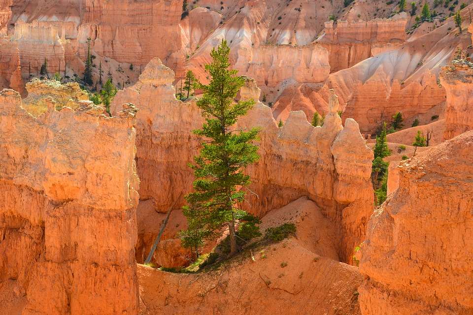 Bryce Canyon SUA. jigsaw puzzle online