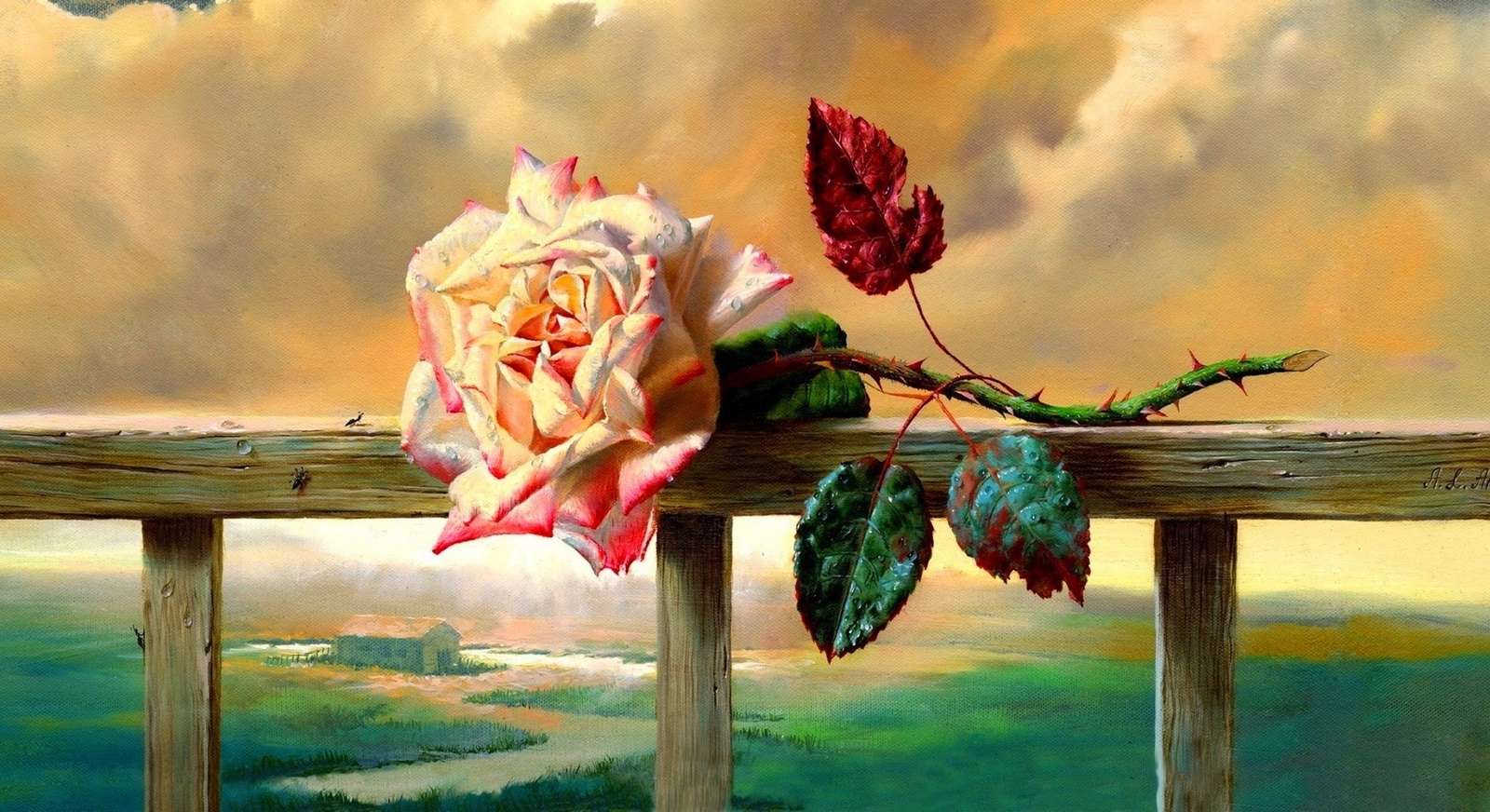 Rose and sunset online puzzle
