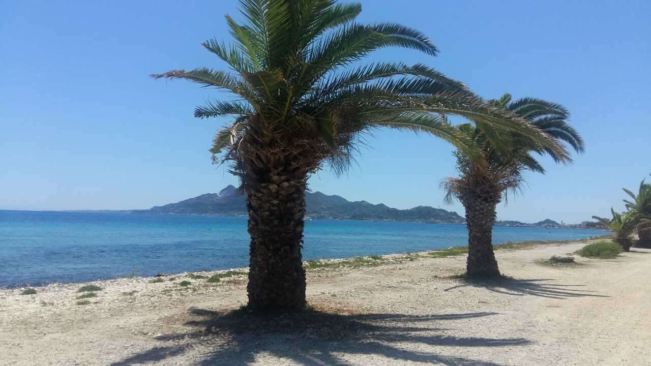palmer på stranden pussel på nätet