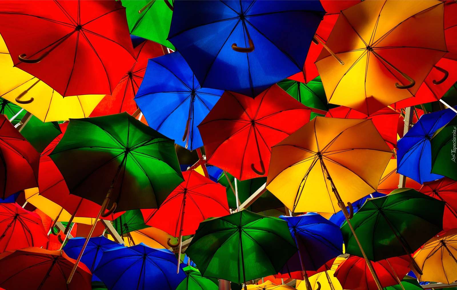 カラフルな傘。 ジグソーパズルオンライン