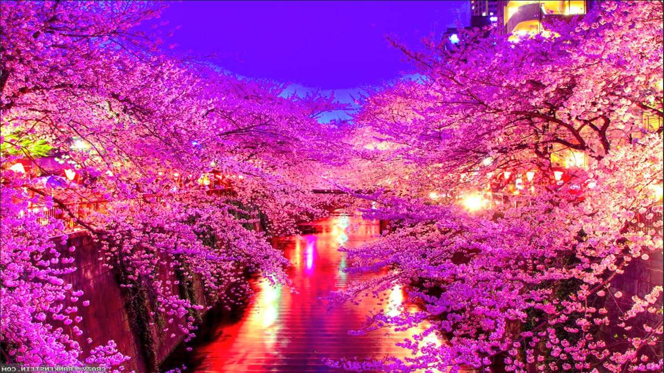 桜の国 ジグソーパズルオンライン
