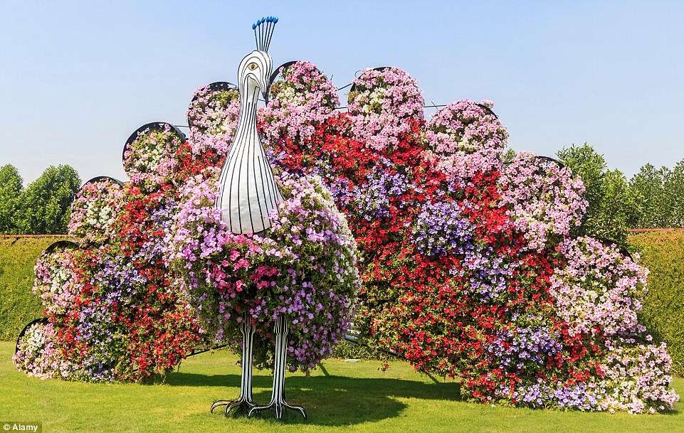 păun de grădină ca un pat de flori jigsaw puzzle online
